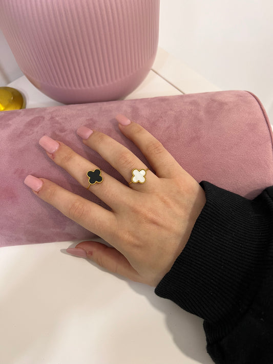 Anello V.C